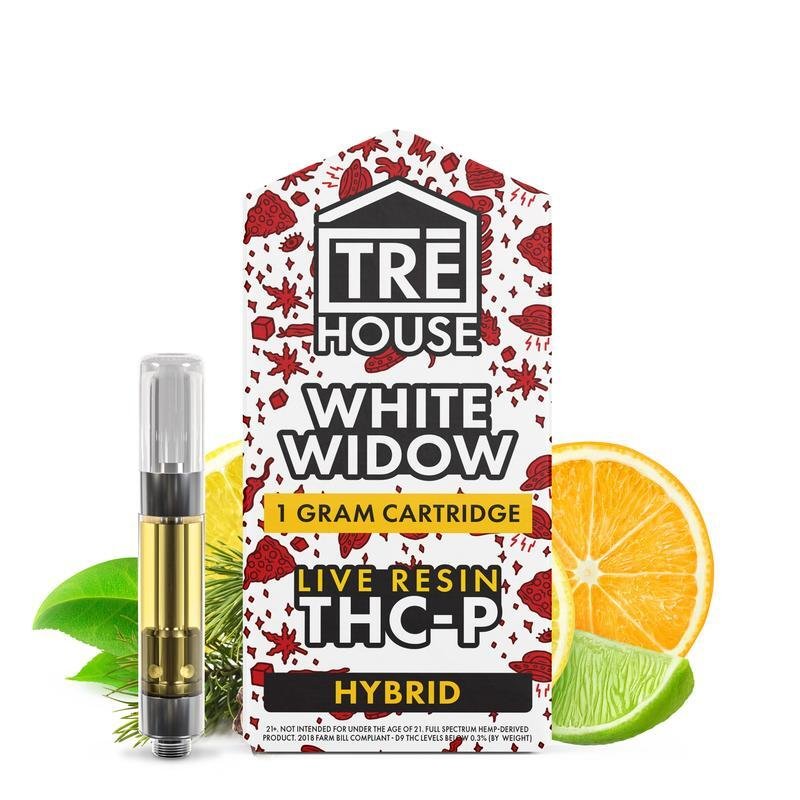 Shortys Cones - 50ct